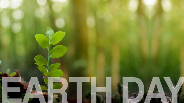 De-stress With These Earth Day-Friendly Products - Character Media