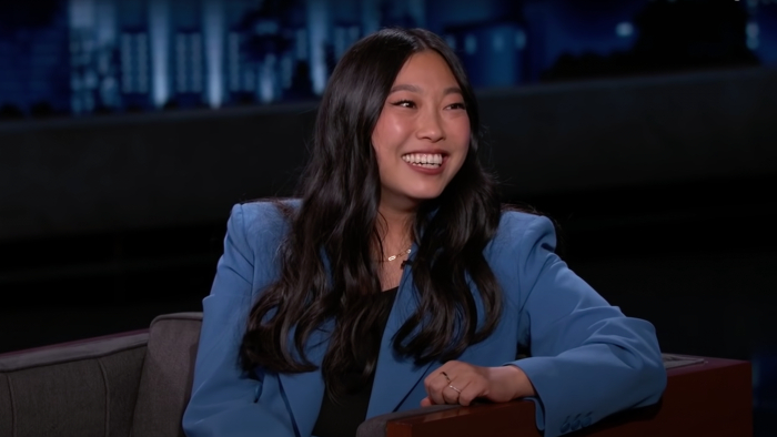 Awkwafina Lands Starring Role in ‘Dracula’-based Film ‘Renfield ...