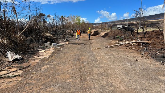 Street view of the pst-destruction of the Maui fires.